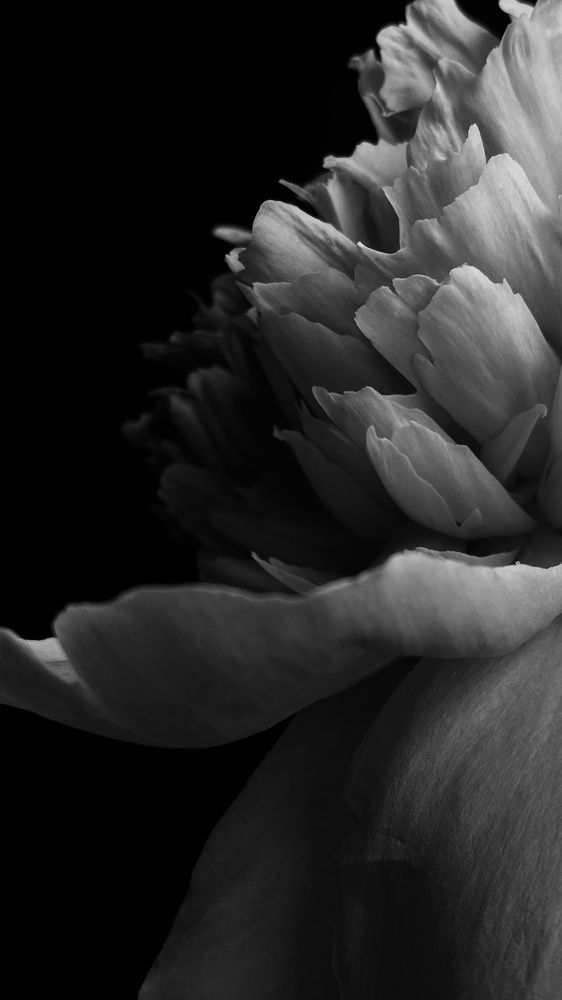 Фотография автора Анастасия Подкорытова