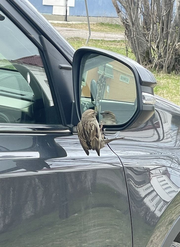 Photograph by Светлана Хохлова