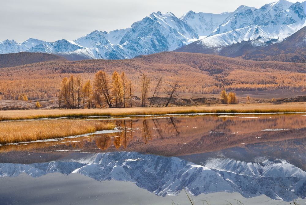 Photograph by Крат Светлана