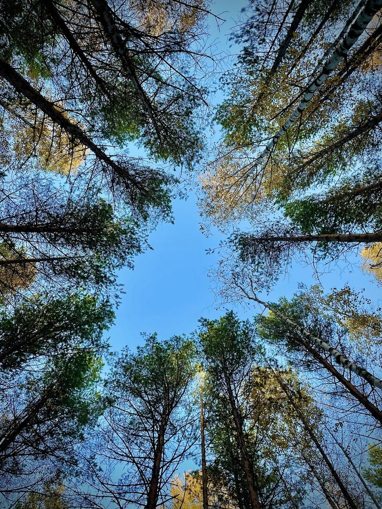 Photograph by Светлана Хохлова