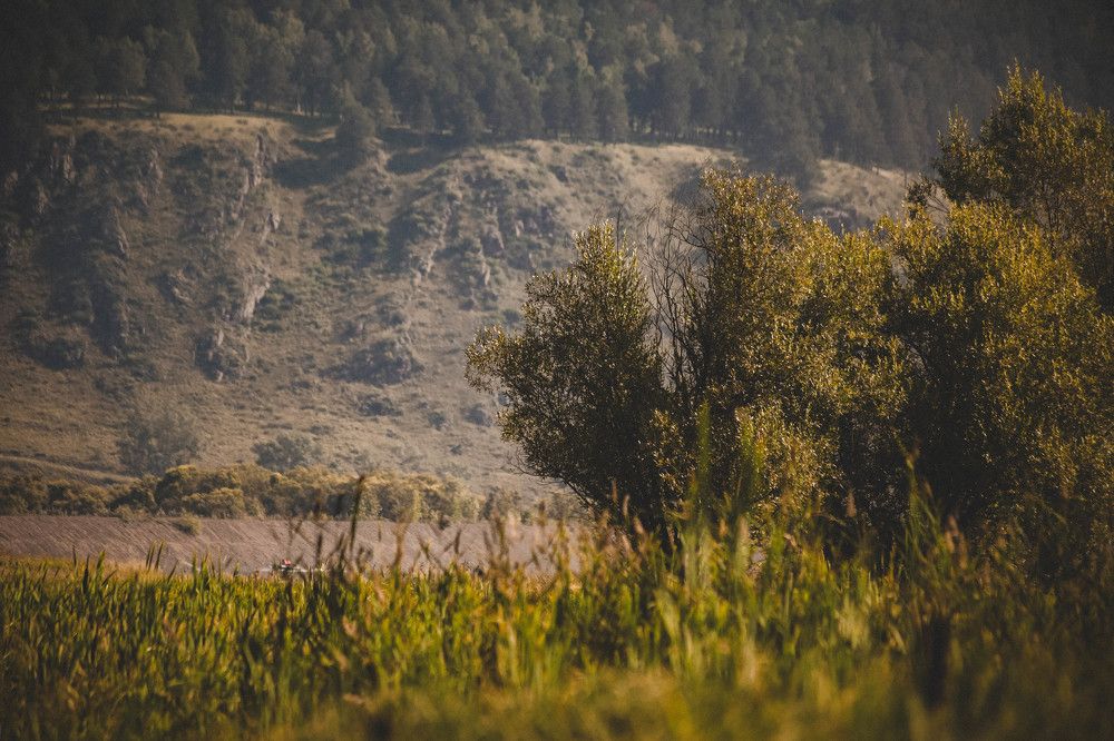 Photograph by Евгений Авдеев