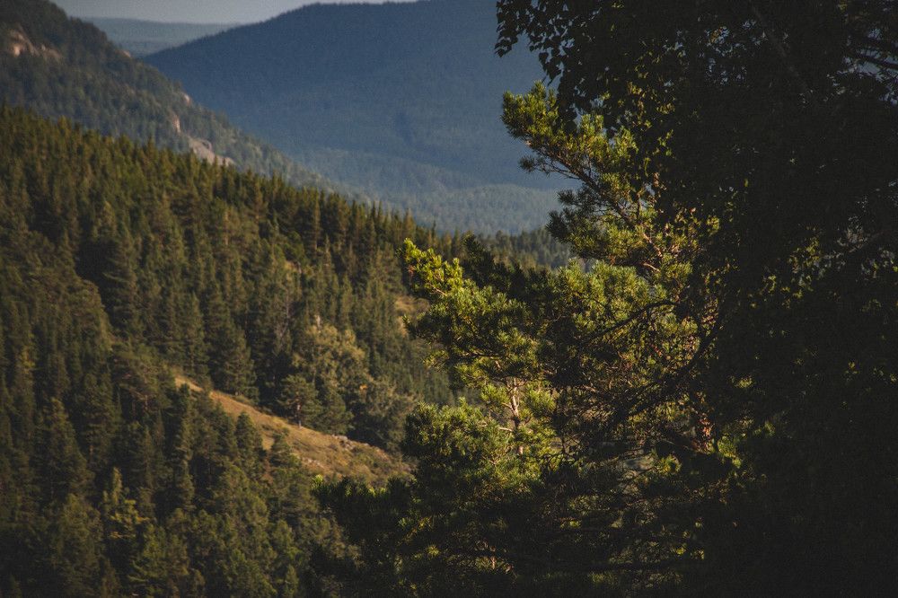 Photograph by Евгений Авдеев