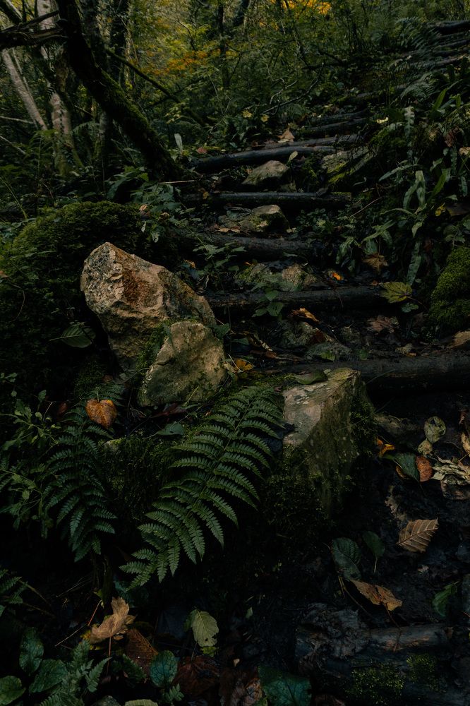 Photograph by Alesia Karpeichik