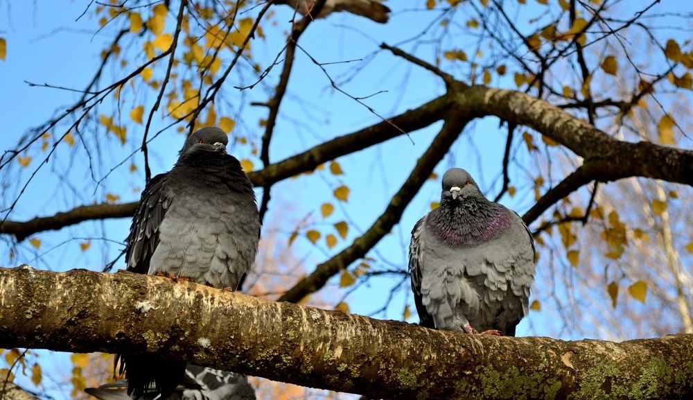 Photograph by Анастасия Дросу