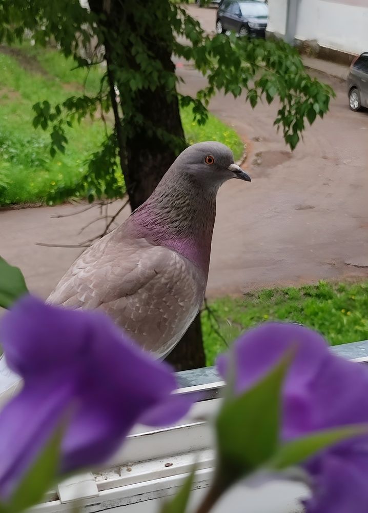 Photograph by Анастасия Дросу