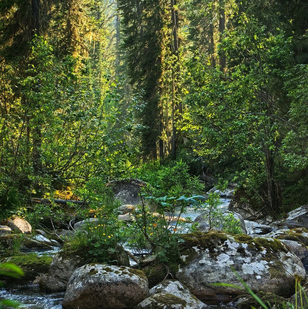 Photograph by OLGA MIKHNEVICH