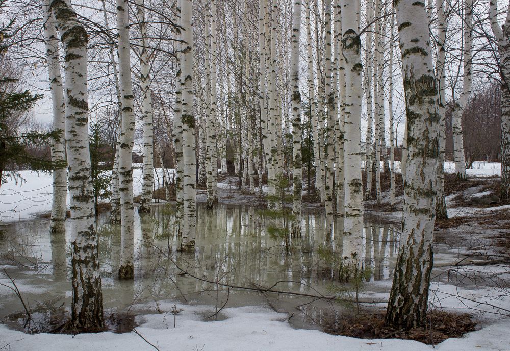 Photograph by Оксана Леонтьева