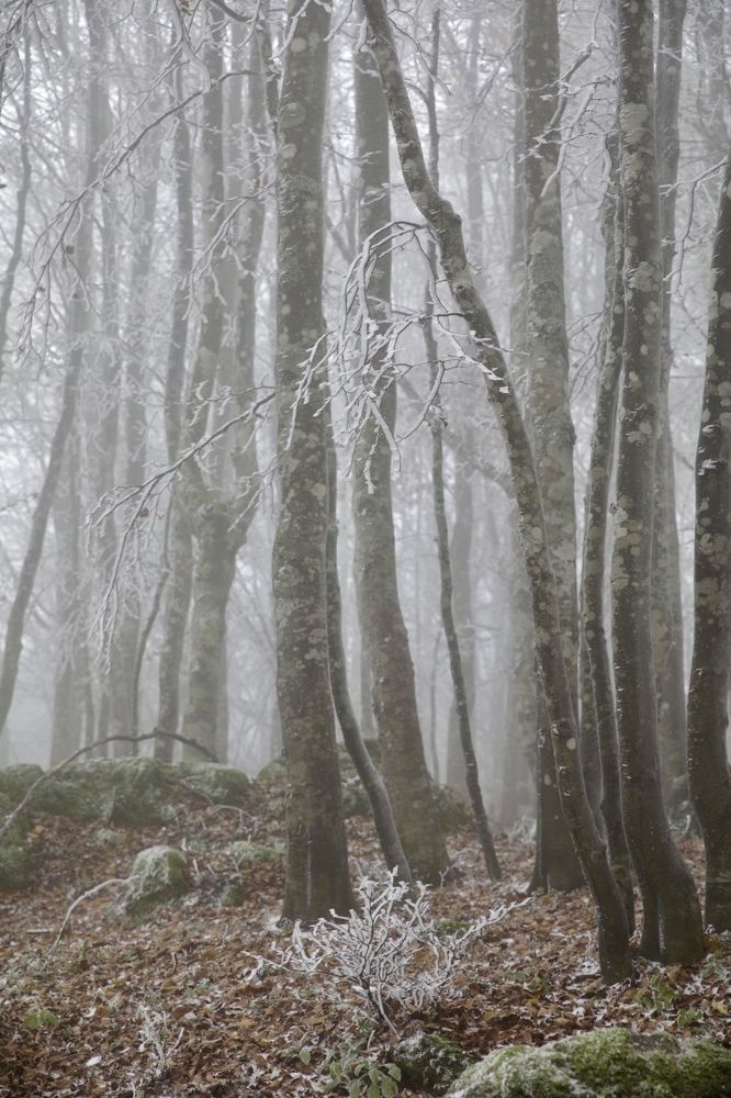 Photograph by Одаренко Ольга