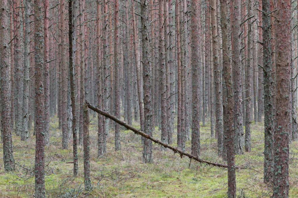 Photograph by Одаренко Ольга