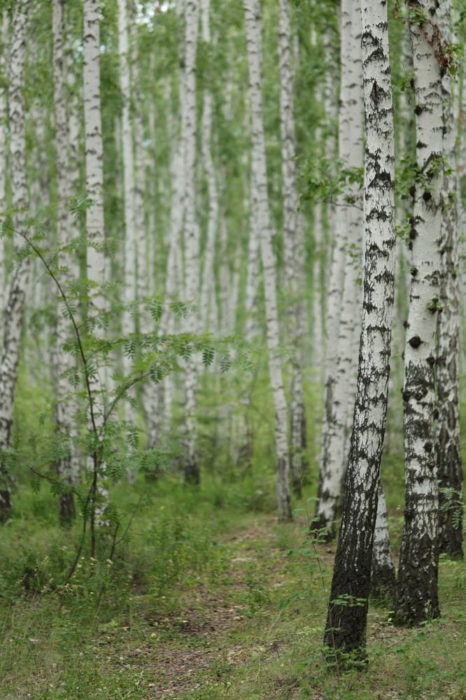 Photograph by Одаренко Ольга