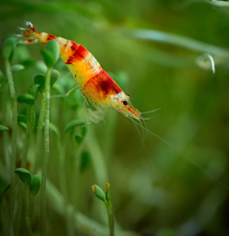 Photograph by Сергей Басов