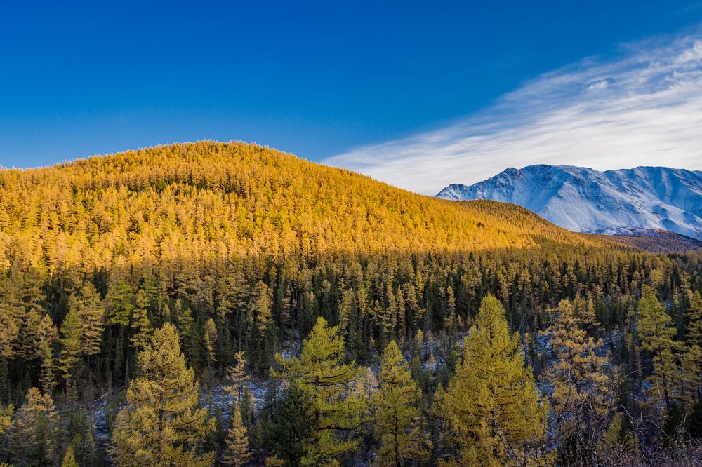 Photograph by Pavel Gukov