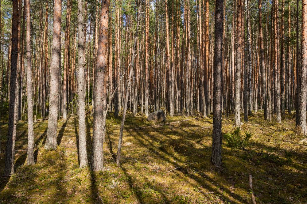 Photograph by Pavel Gukov