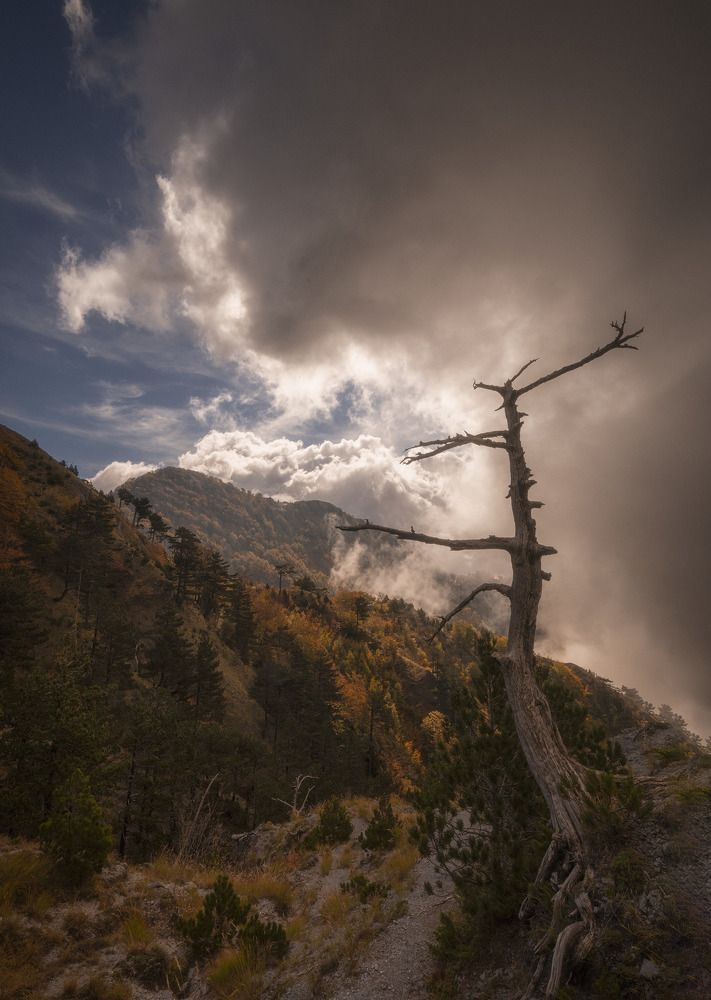 Photograph by Francesco Dimonte