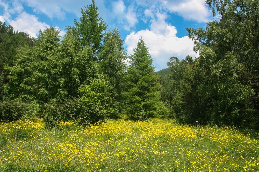 Photograph by Ольга Литвинцева