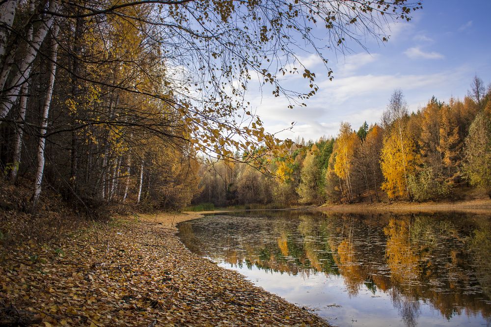 Photograph by Оксана Леонтьева