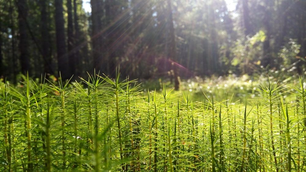 Photograph by Анастасия Дросу