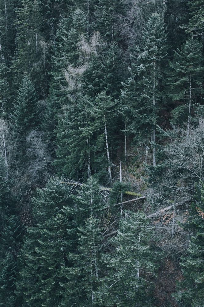 Photograph by Александра Гаврилова