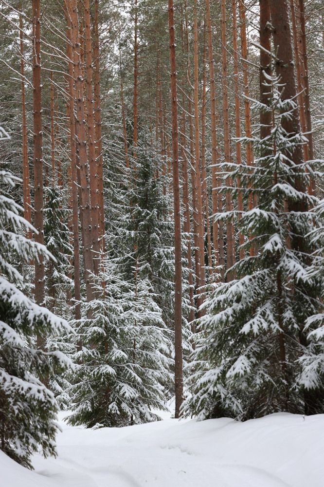 Photograph by Одаренко Ольга