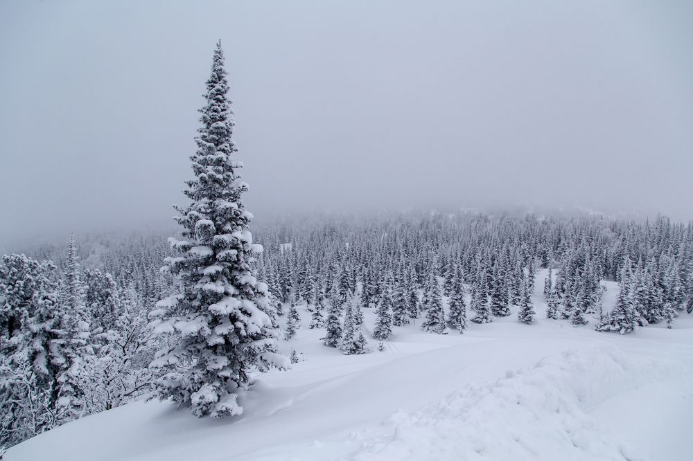 Photograph by Семенов Александр