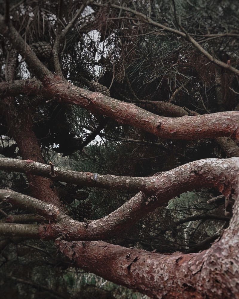 Photograph by Аруза