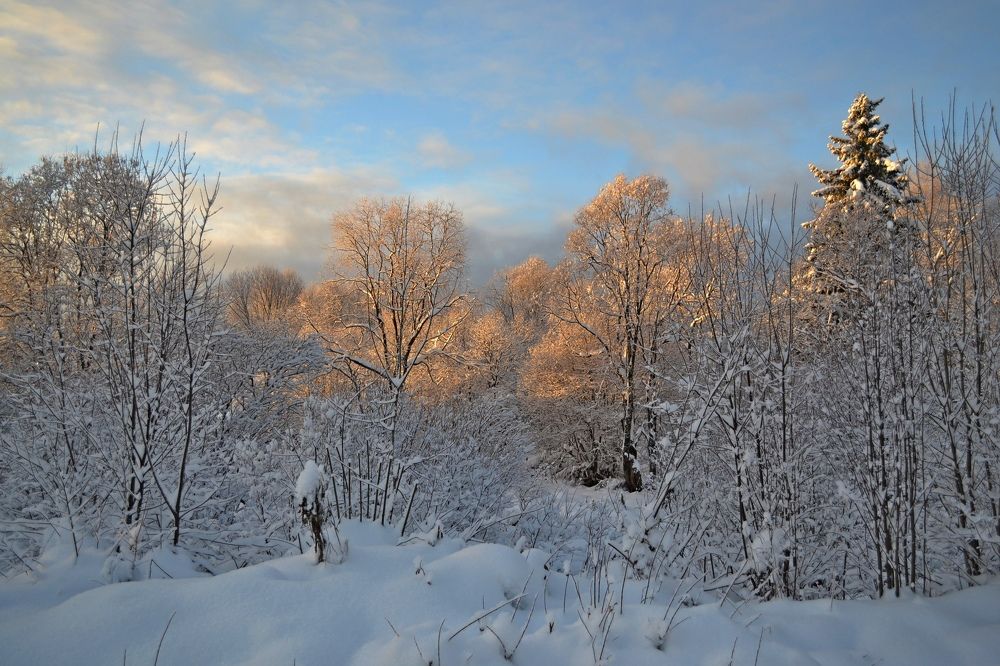 Photograph by Анастасия Дросу