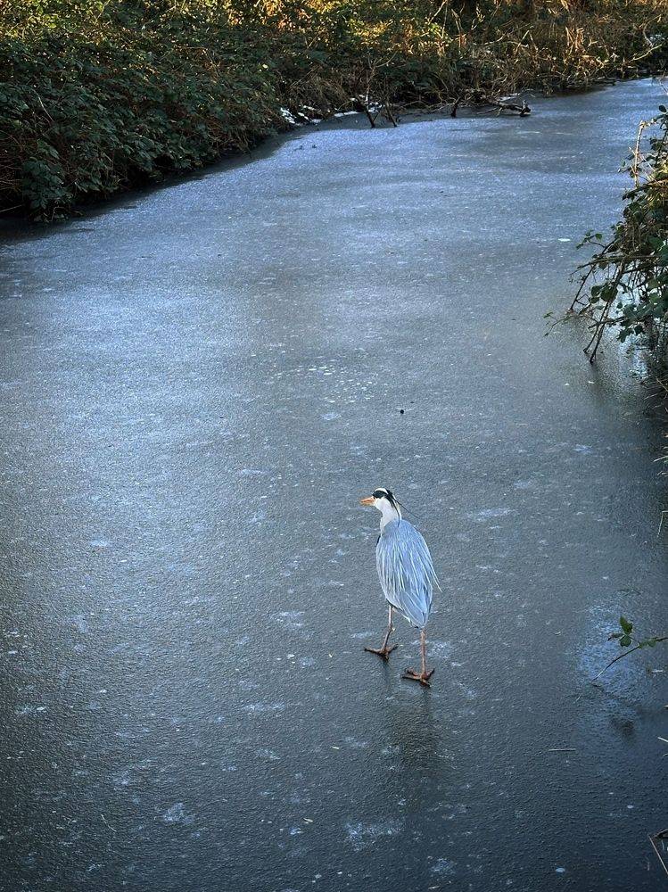 Photograph by Лидия