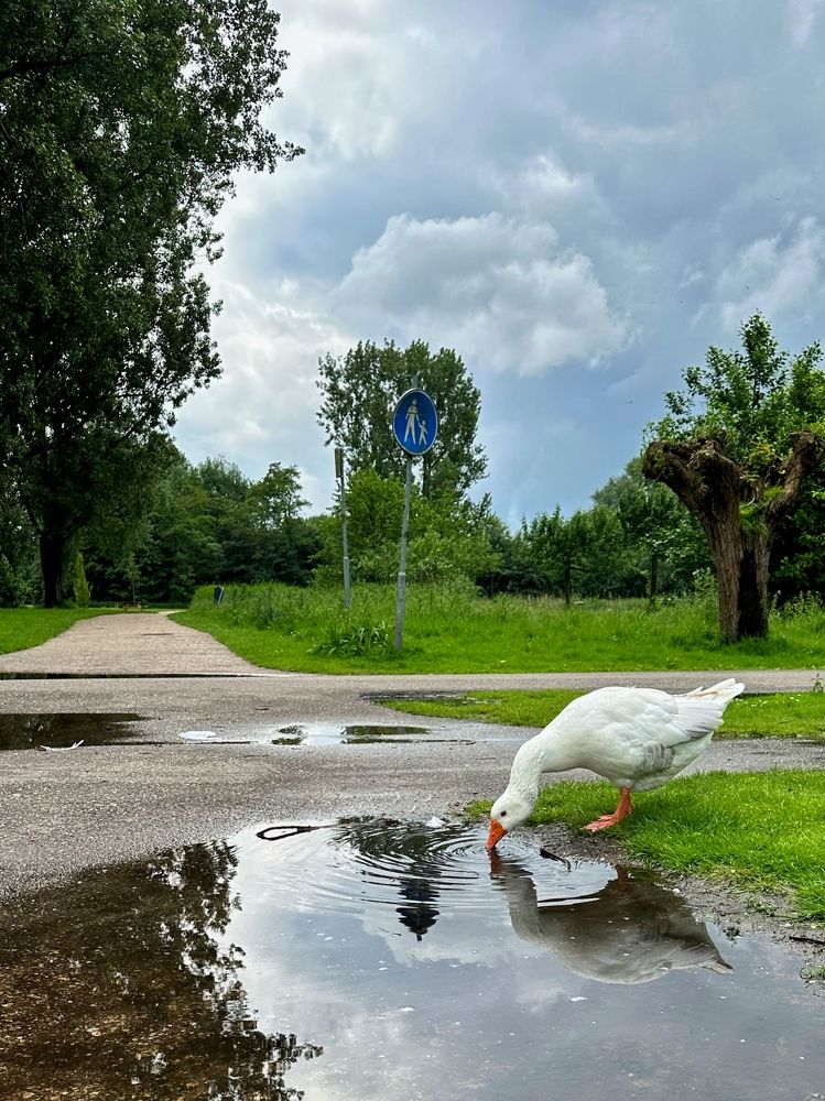 Photograph by Лидия