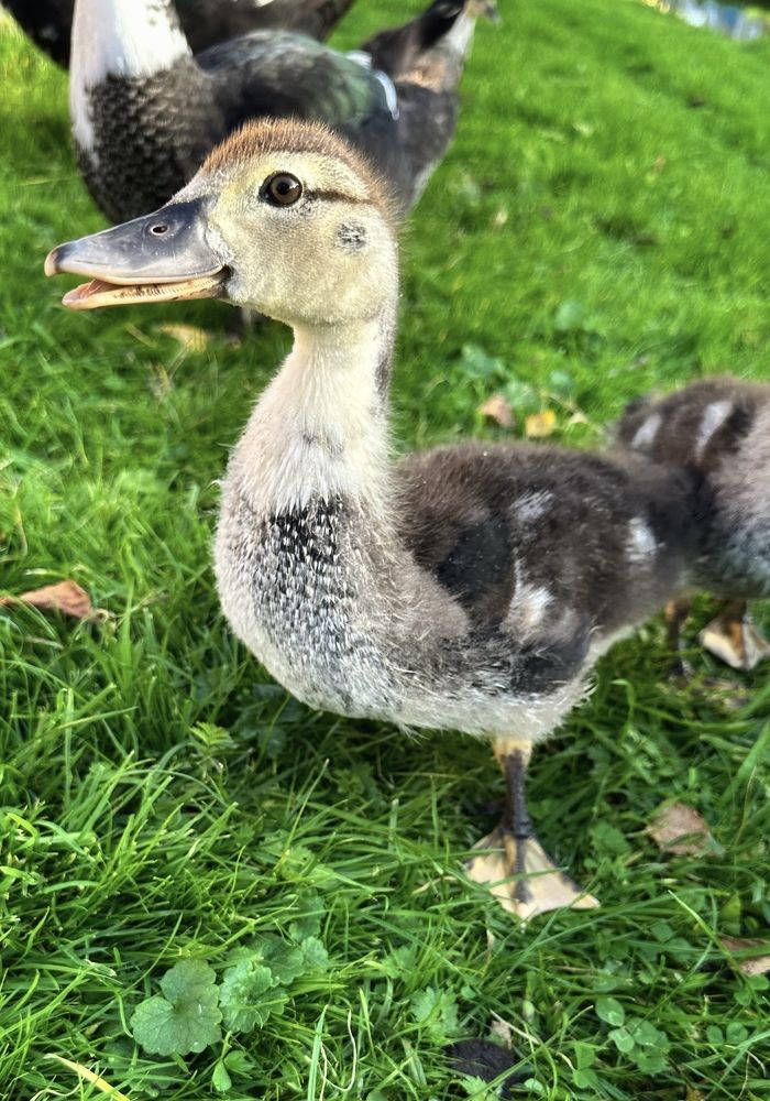 Photograph by Лидия