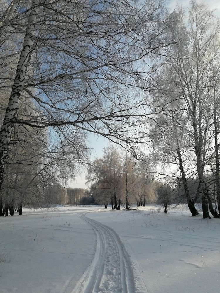 Photograph by Галина Попова