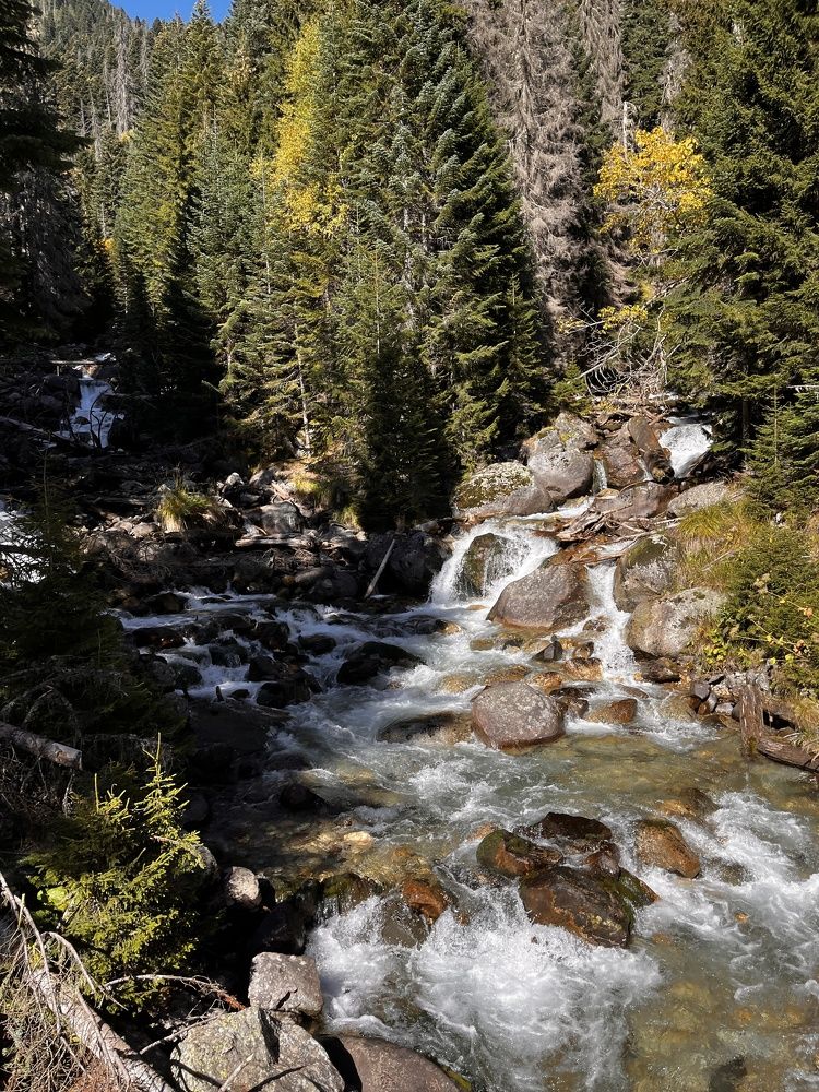 Photograph by Людмила Хорина