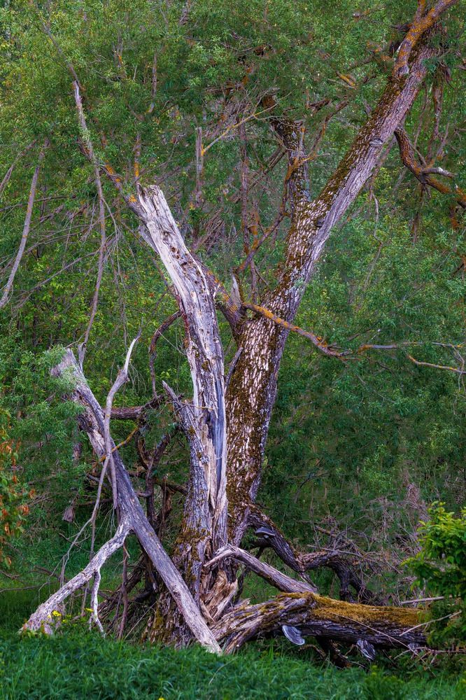 Photograph by Ольга Чибисова