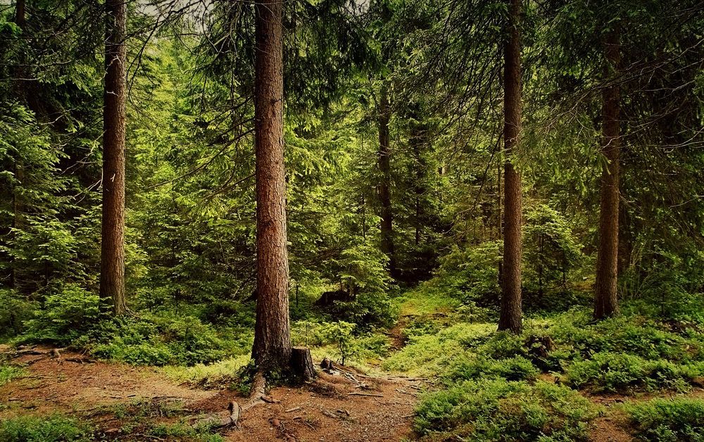 Фотография автора Александр