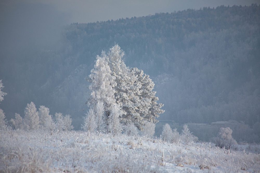 Photograph by Евгений Авдеев