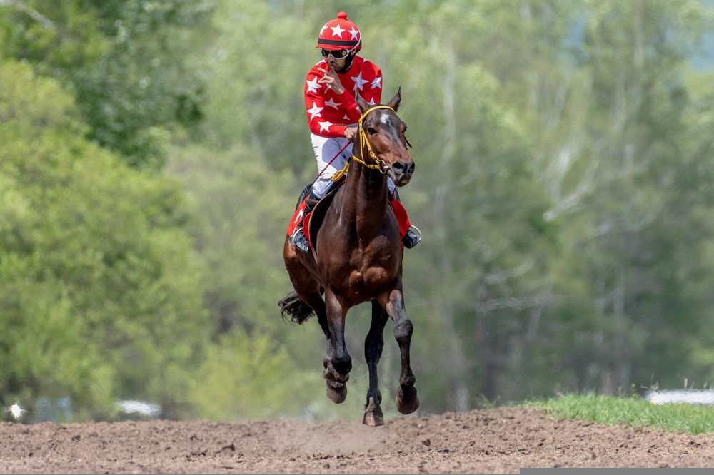 Photograph by константин