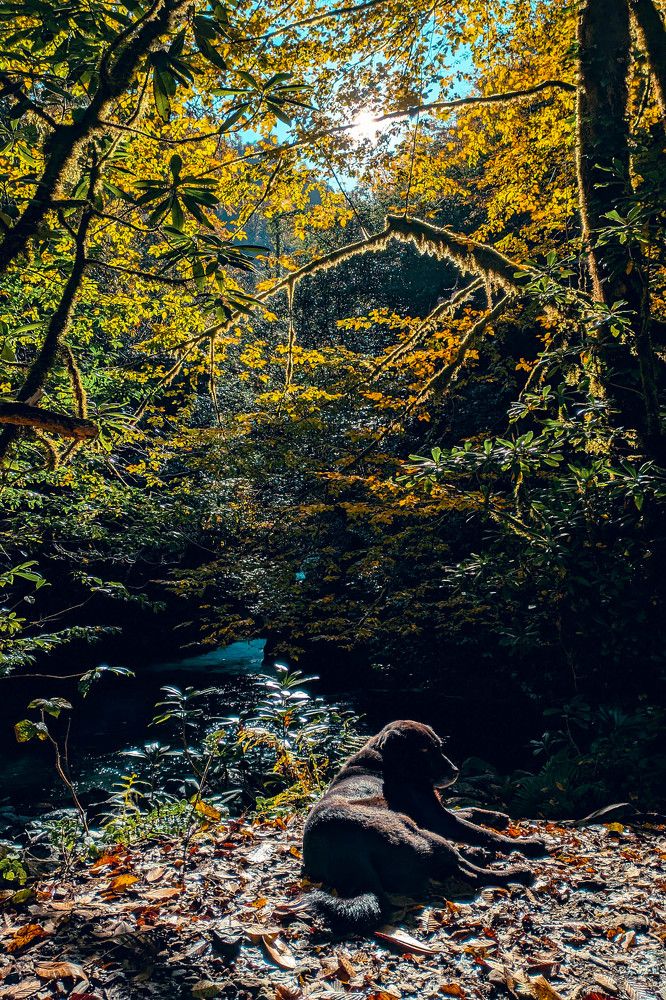 Photograph by Alesia Karpeichik