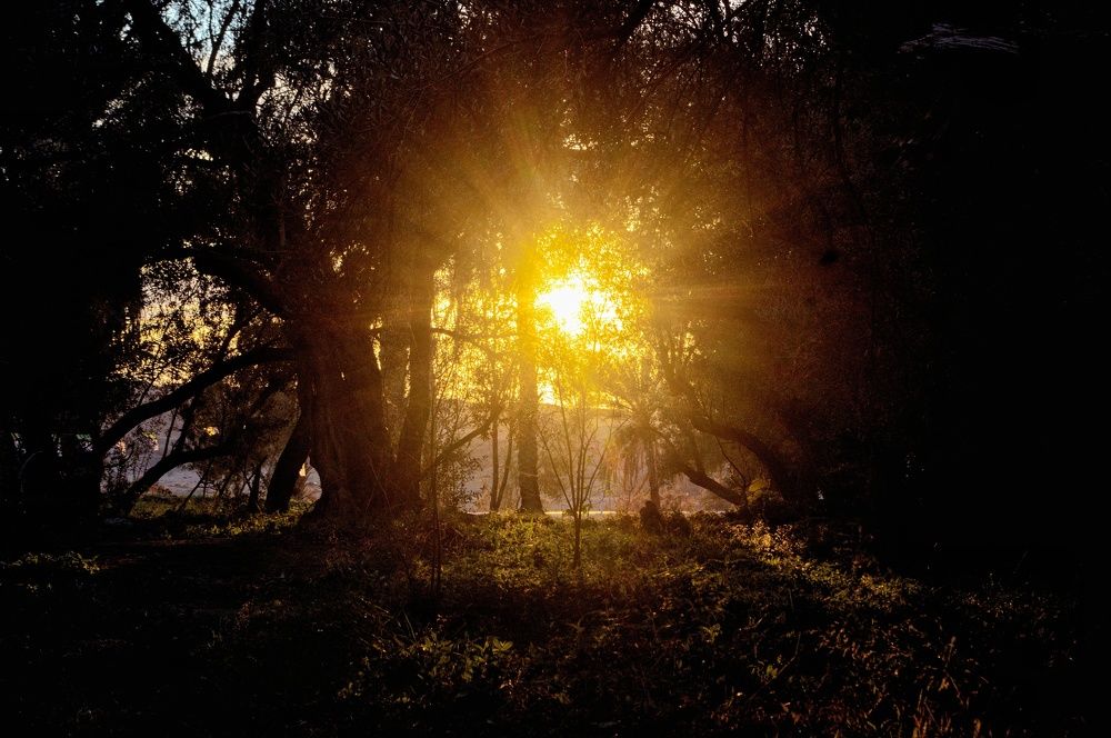 Photograph by Azzeddine Memmou