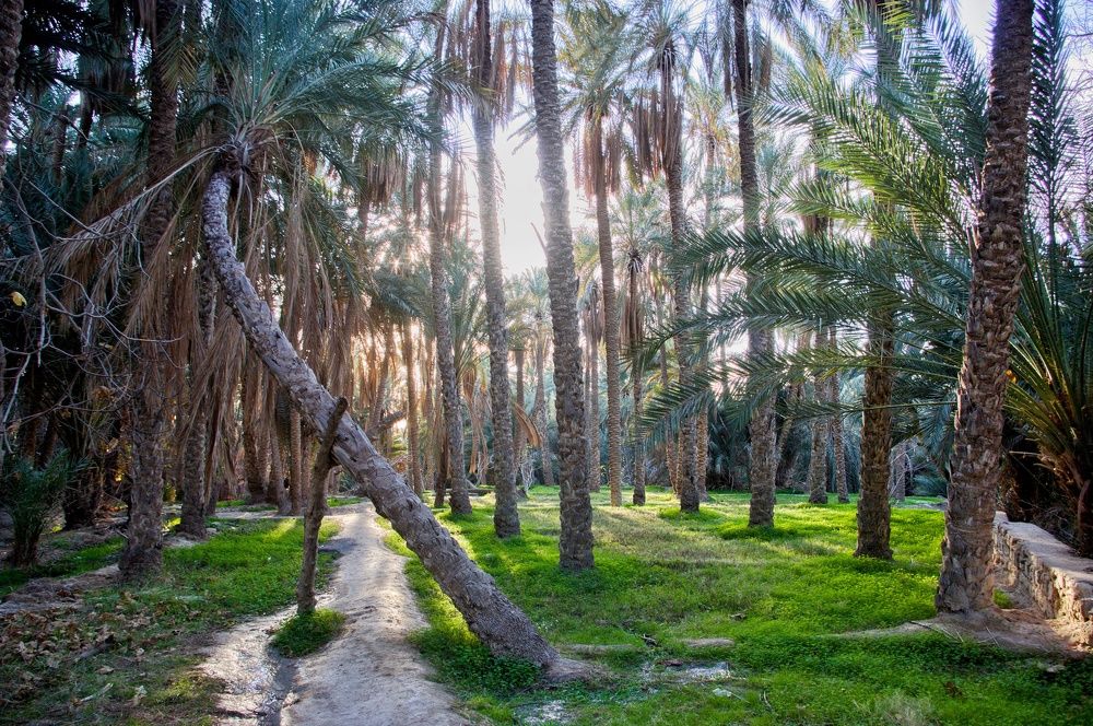 Photograph by Azzeddine Memmou