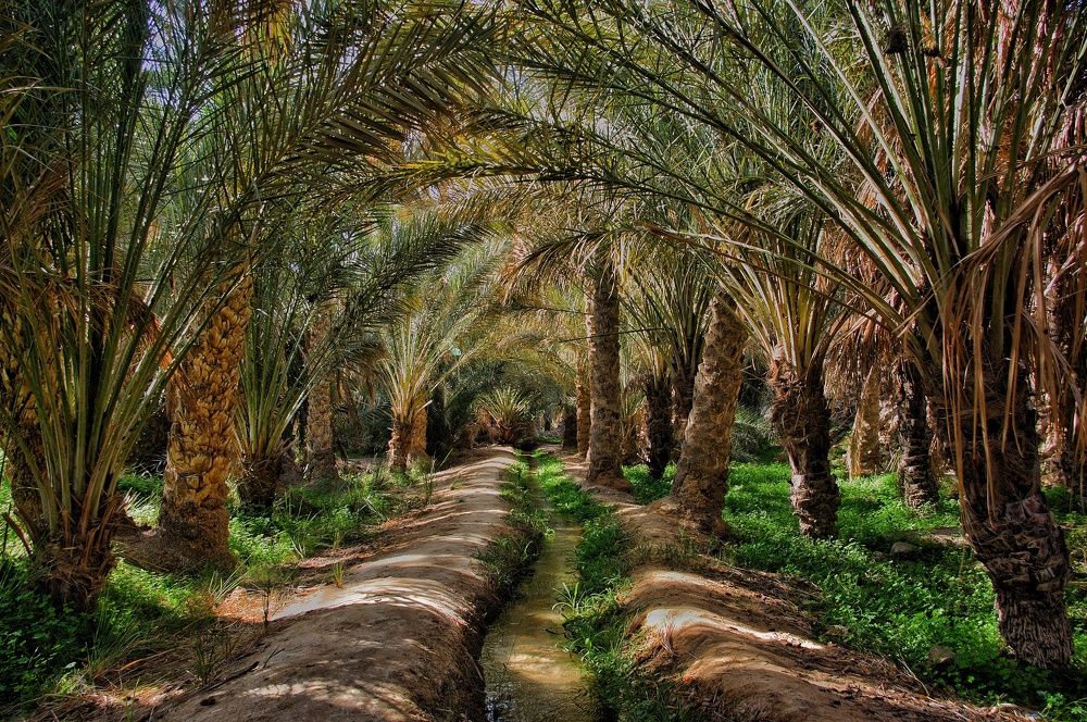 Photograph by Azzeddine Memmou