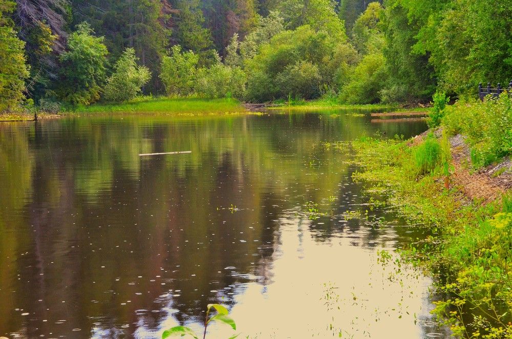 Фотография автора Алексей Власов