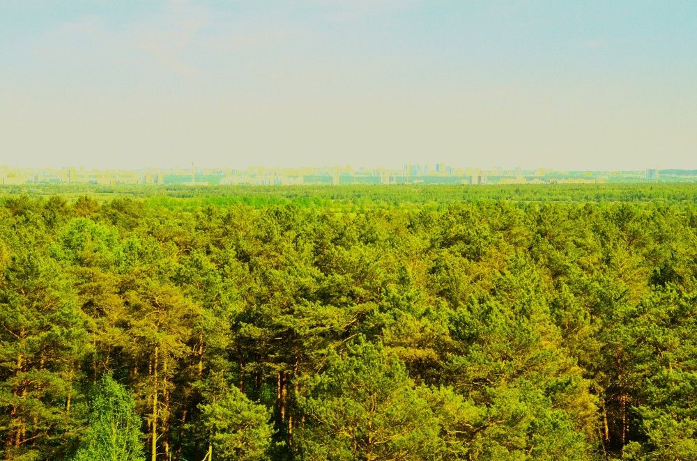 Фотография автора Алексей Власов