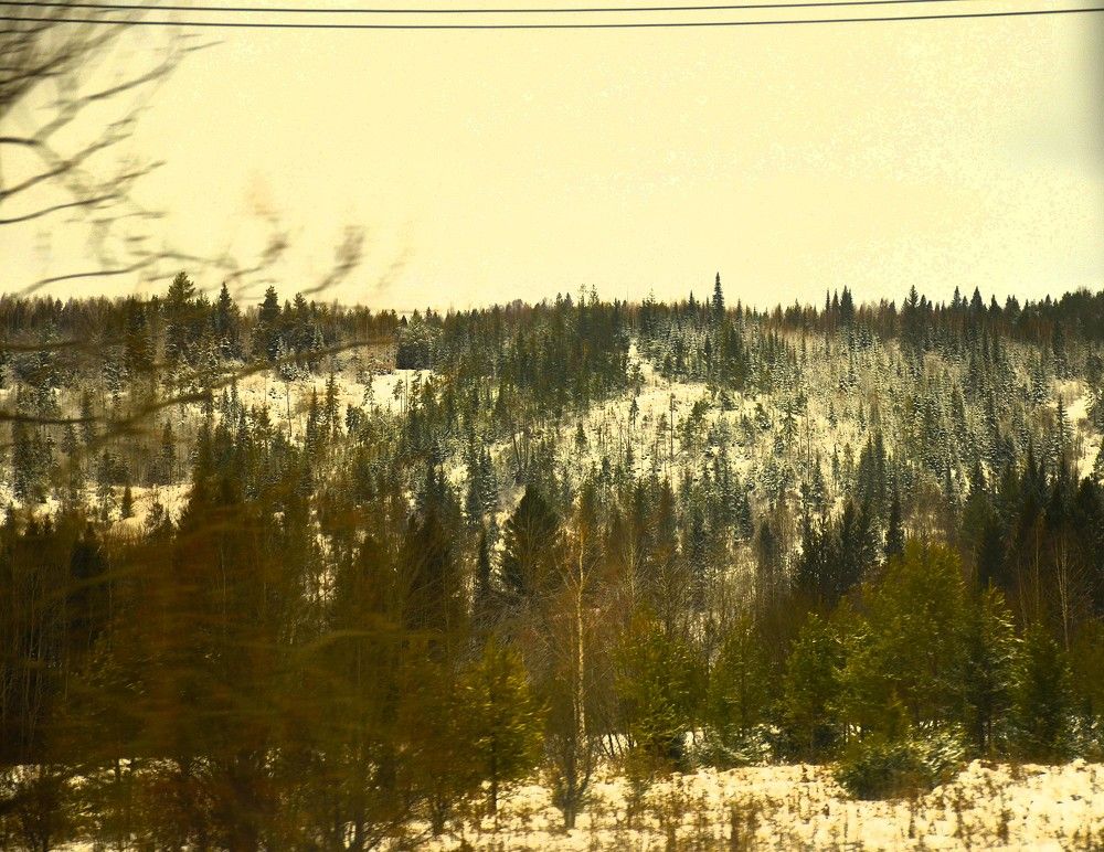 Фотография автора Алексей Власов