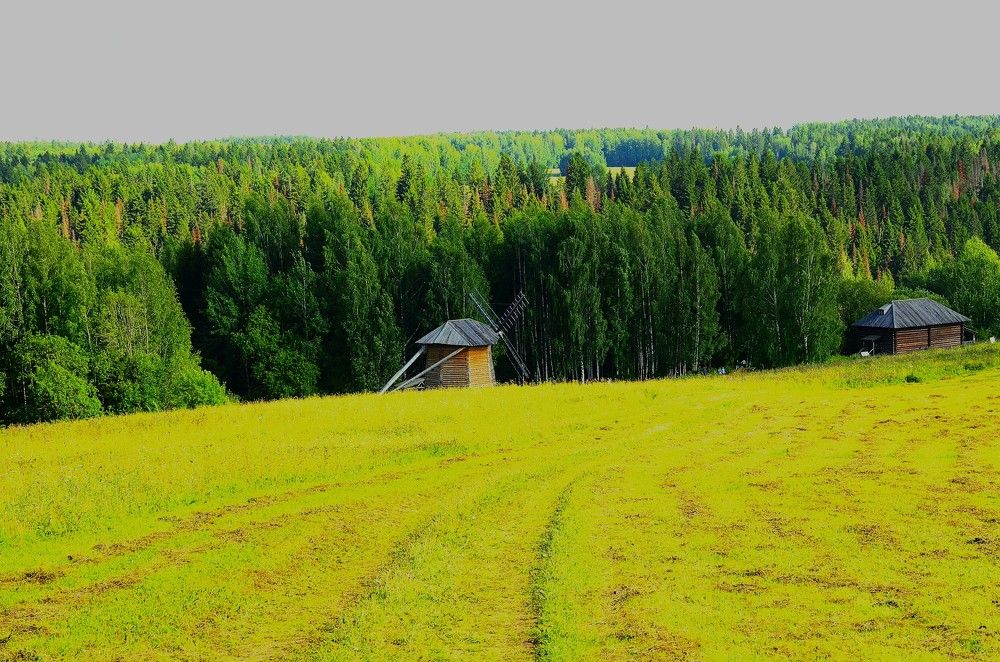 Фотография автора Алексей Власов