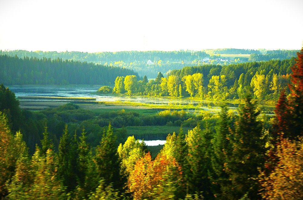 Фотография автора Алексей Власов