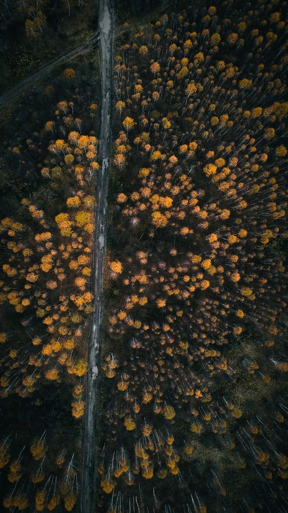 Photograph by Илья Горшенков