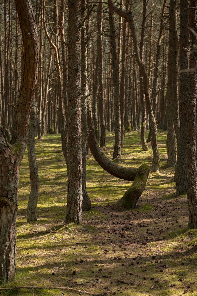 Photograph by Анна Рогалева