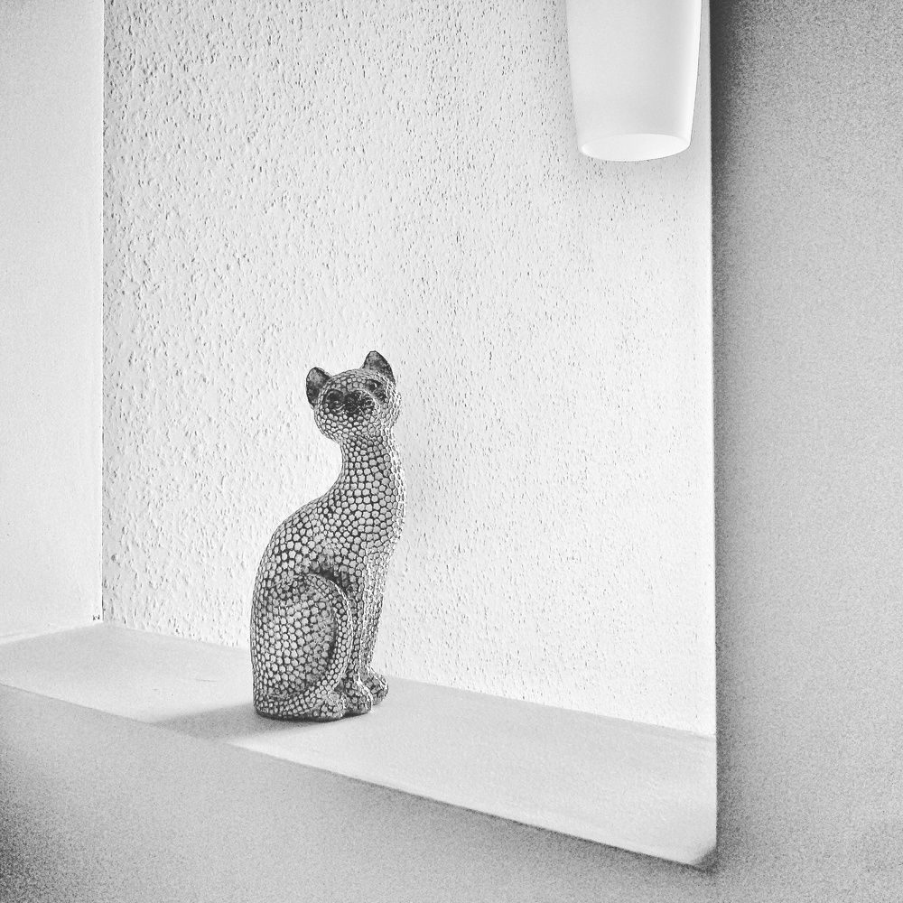 Photograph by Татьяна Галаева