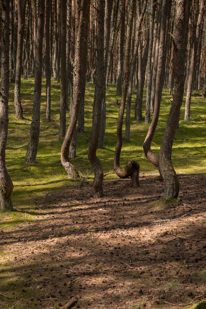 Photograph by Анна Рогалева