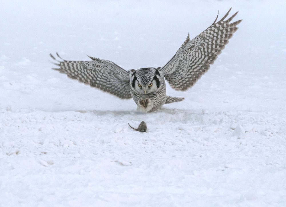 Момент истины