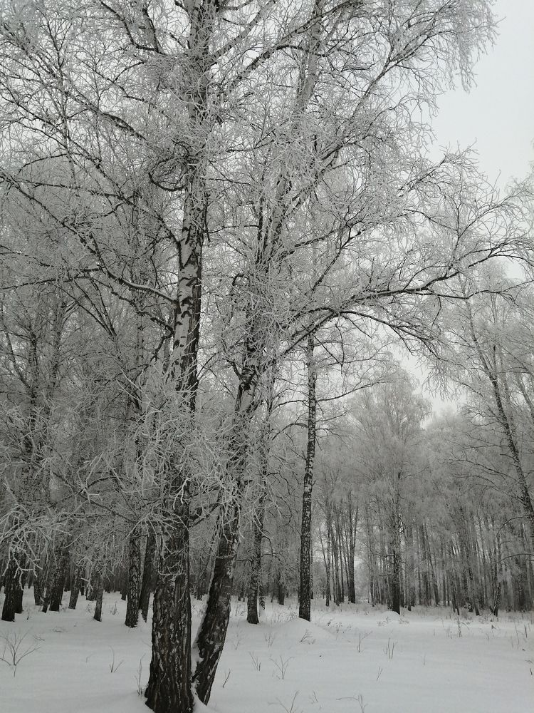 Photograph by Галина Попова